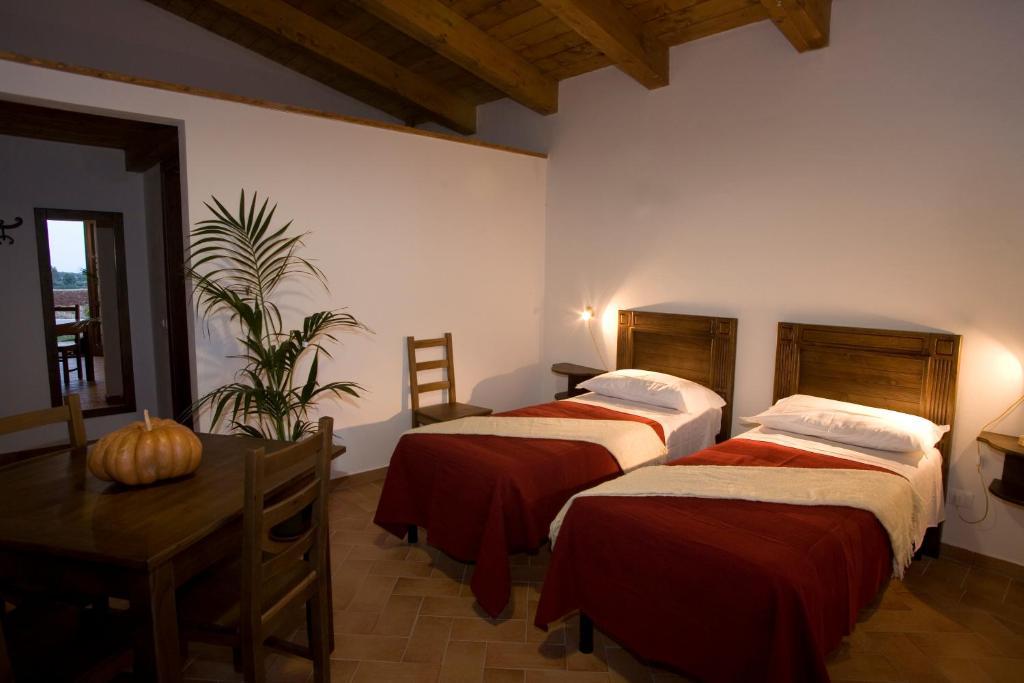 Podere 1248 Ladispoli Zimmer foto